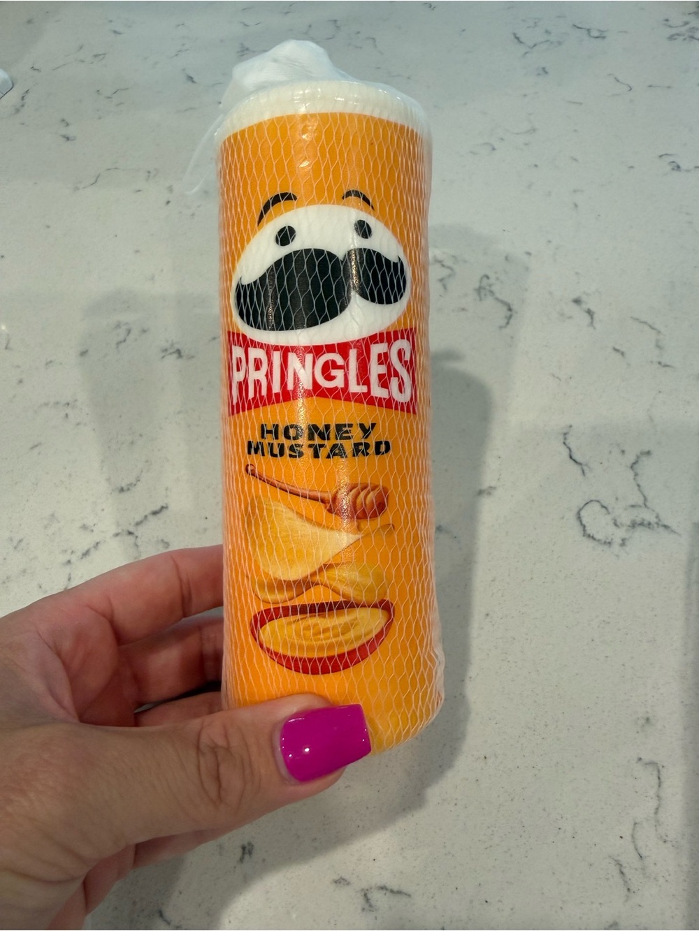 Pringle Honey Mustard Squishy